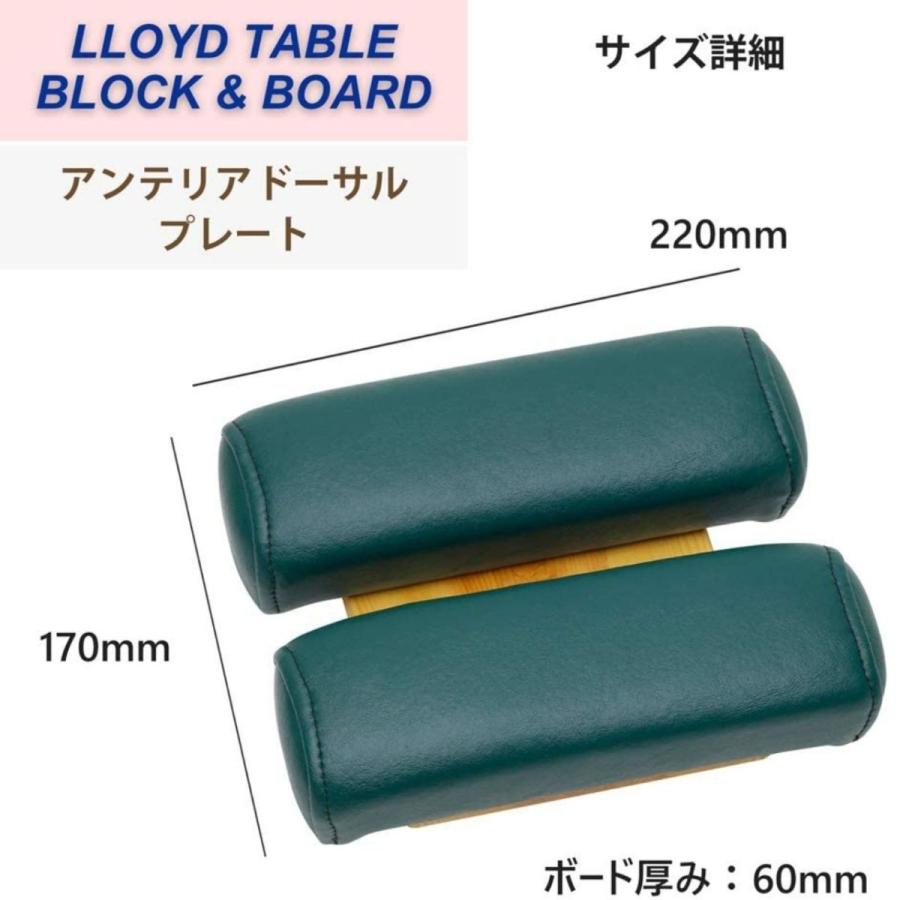 LLOYD (ロイド)  アンテリアドーサルプレート 胸椎前方変位の矯正 幅広タイプ【アメリカ製】の画像