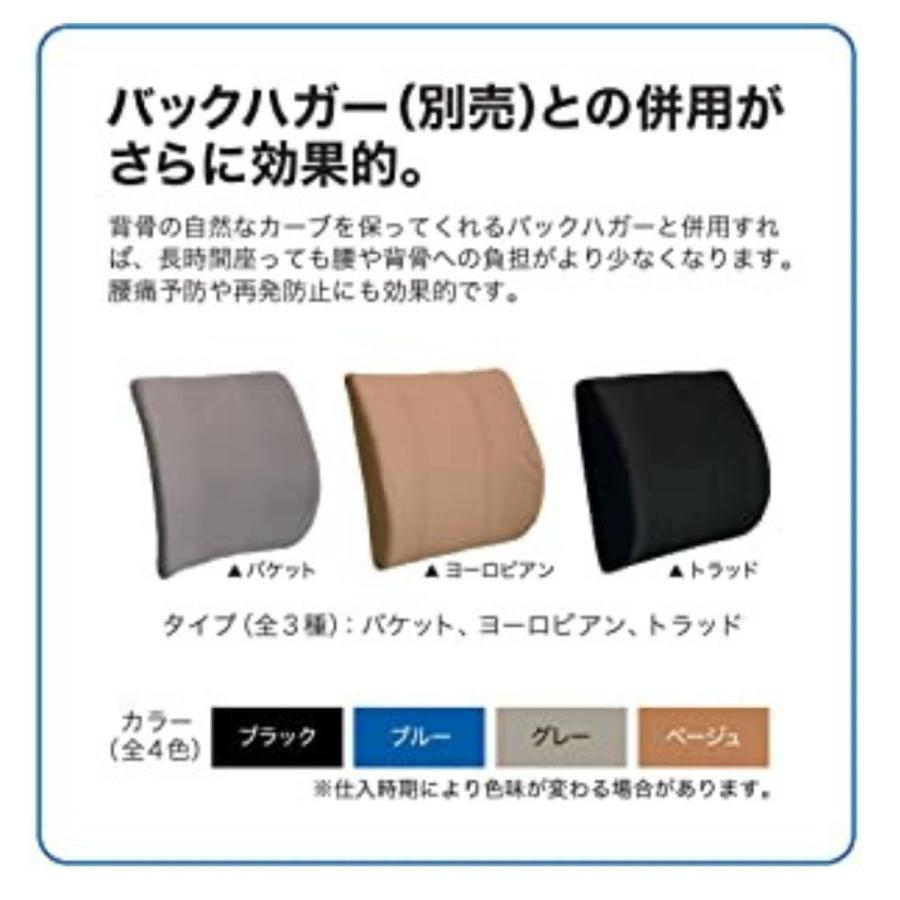 BodyLine(ボディーライン) サテライト 全世界で30年以上の使用 BodyLine(ボディーライン) サテライト 全世界で30年以上の使用