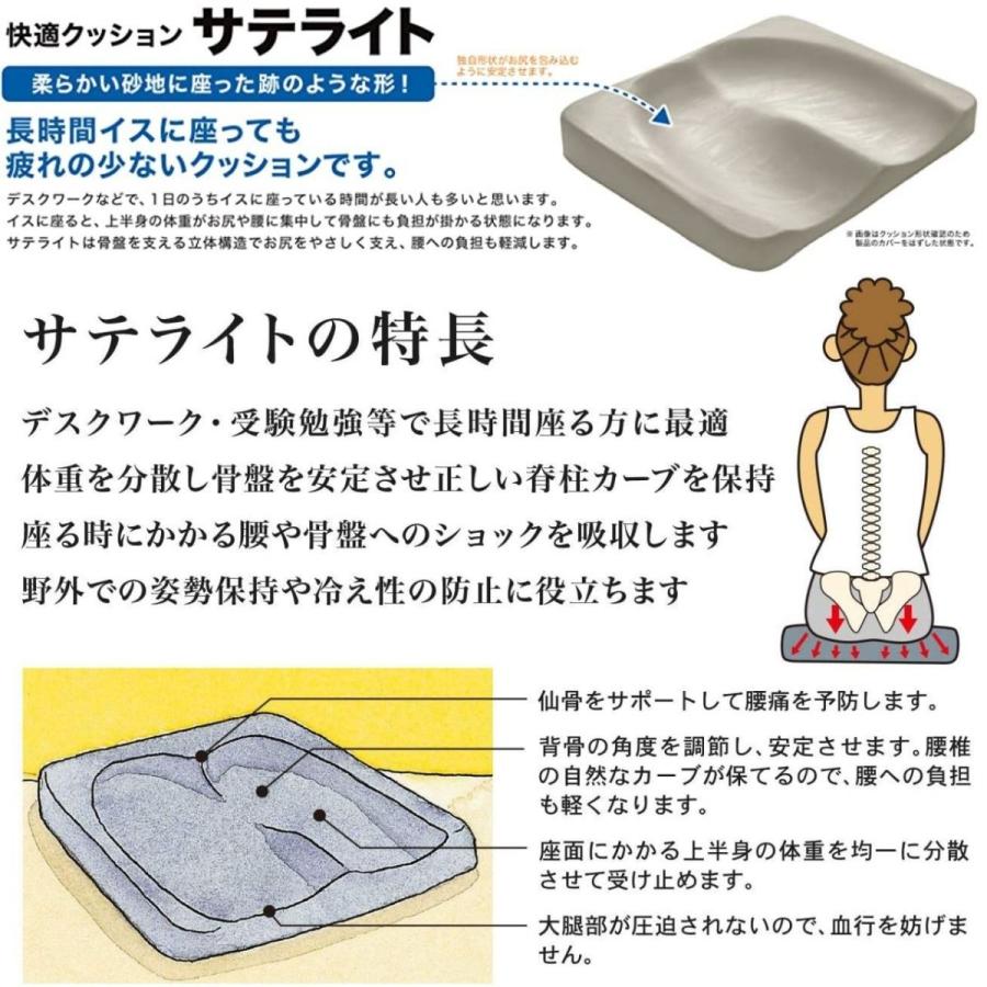 BodyLine(ボディーライン) サテライト 全世界で30年以上の使用 BodyLine(ボディーライン) サテライト 全世界で30年以上の使用