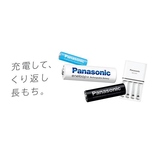 Panasonic（パナソニック） Panasonic BK-4LCD/2H 2本入りパック