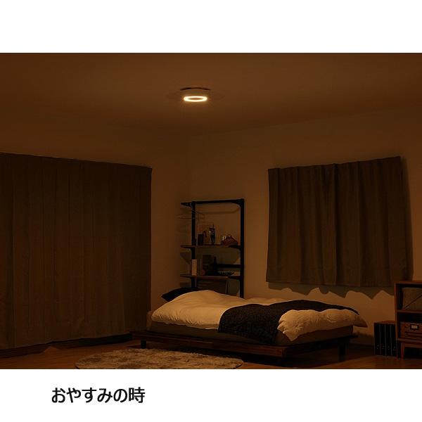 IRIS OHYAMA（アイリスオーヤマ） CEA-A08DLP LEDシーリングライト 8畳