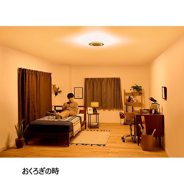 IRIS OHYAMA アイリスオーヤマ CEA-A08DLP LEDシーリングライト IRIS OHYAMA アイリスオーヤマ CEA-A08DLP LEDシーリングライト