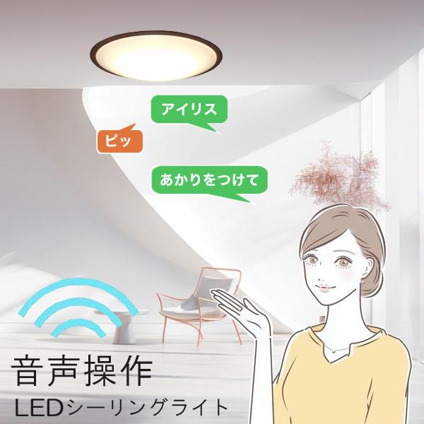 その他 AN Cipher Quiet | 2-Way Brief Case | 81535 – ZERO HALLIBURTON