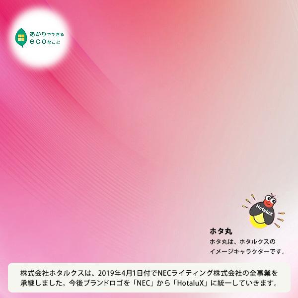ライフルックHGX 「送料無料」 2本パック Hf器具専用 ひときわ明るい