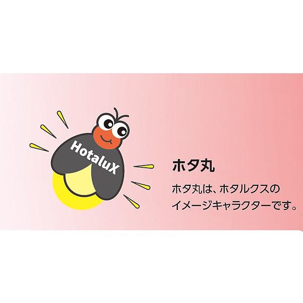 ホタルクス ☆20形 2本入 ロングタイム 寿命12000時間 爽やかな ホタルクス ☆20形 2本入 ロングタイム 寿命12000時間 爽やかな