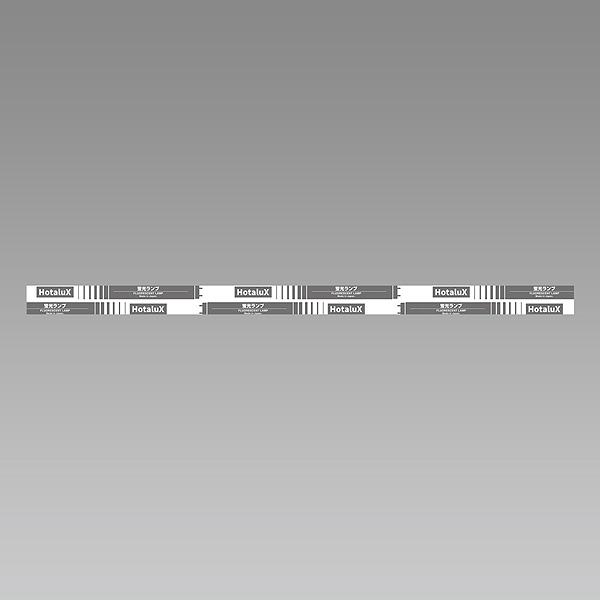 ライフライン 「送料無料」［10本セット］HotaluX 昼 光 色