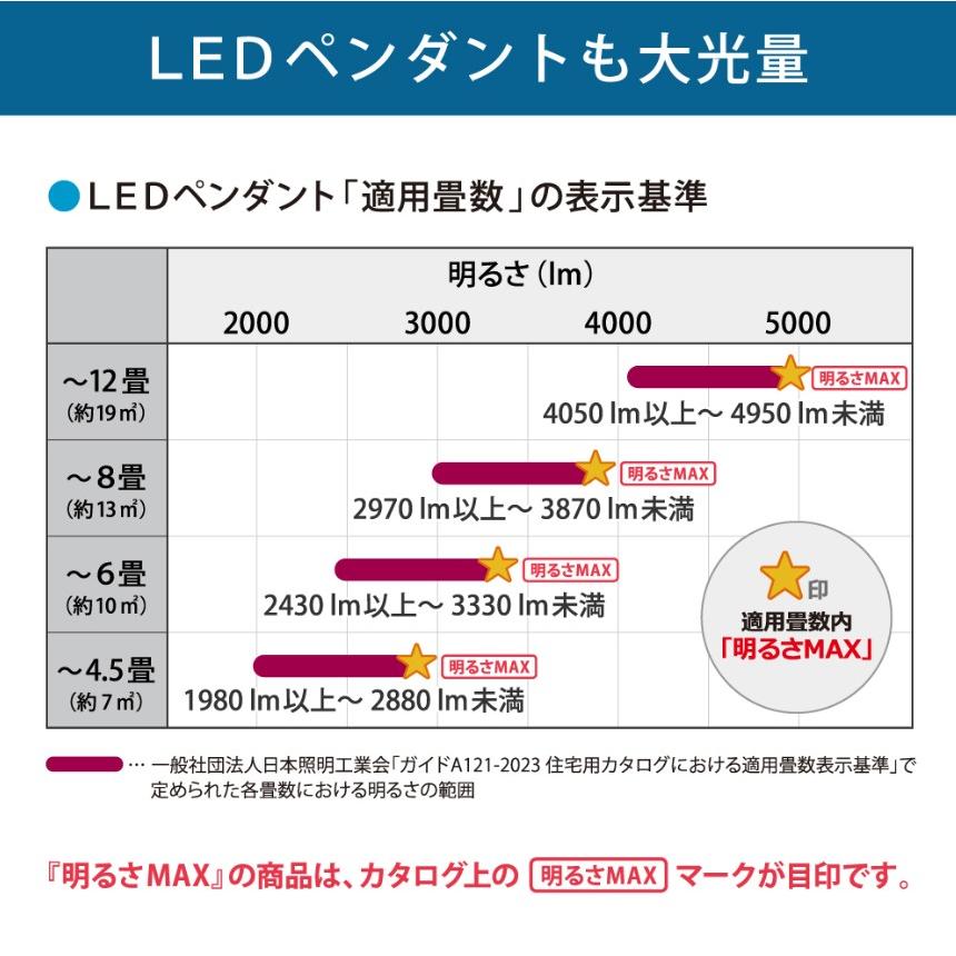 NECライティング ホタルクス NEC HCDD1253-X LEDペンダントライト_12畳
