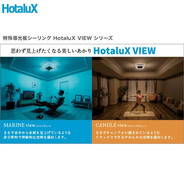 ホタルクス 「メーカー在庫限り廃盤」 NEC HLDC08V001BSG HotaluX VIEW