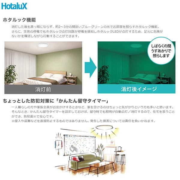 ホタルクス 「メーカー在庫限り廃盤」 NEC HLDC08V001BSG HotaluX VIEW