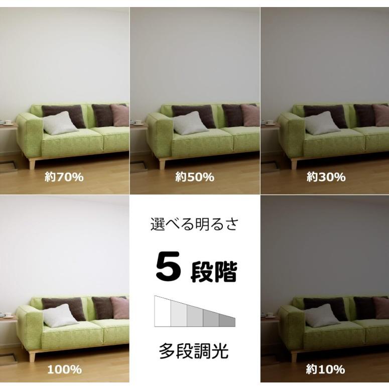 ホタルクス NEC HLDC12258 LED シーリングライト 12畳 ホタルック 調光