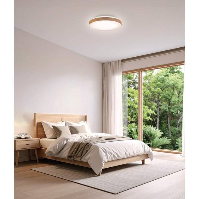 ホタルクス NEC HLDC12432SG LEDシーリングライト 12畳 調光調色 日本