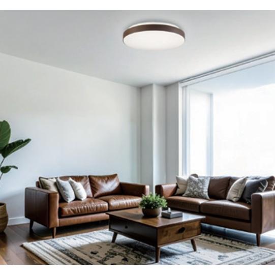 ホタルクス NEC HLDC12433SG LEDシーリングライト 12畳 調光調色 日本