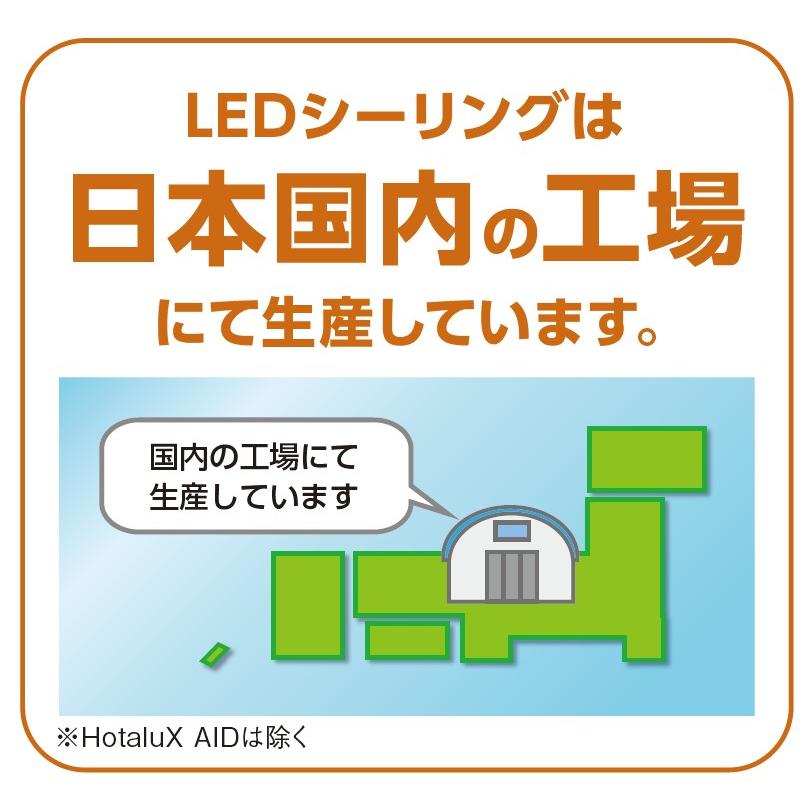 ホタルクス NEC HLDZ12258 LED シーリングライト 12畳 ホタルック