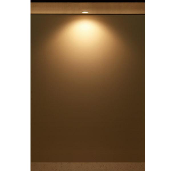 ホタルクス NEC MRD10013(RP)BW1/L-1 SB形LEDダウンライト(防滴形) 埋
