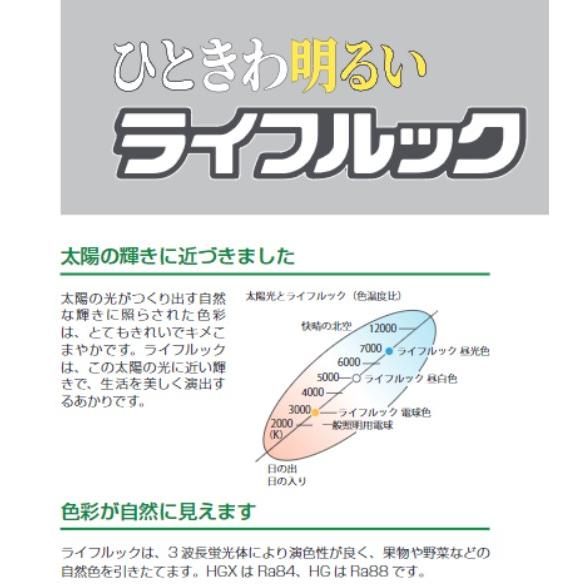 ライフルックHGX ホタルクス FL10EX-D-X2 3波長形昼光色(クール色) 10