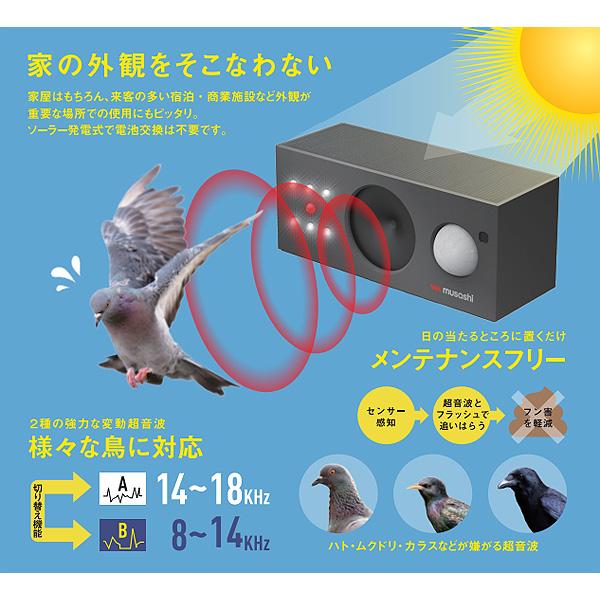 RITEX ムサシ REP-700 ソーラー鳥しっし REP700 「送料無料」 : イー