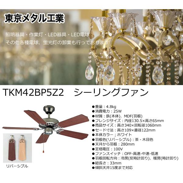東京メタル シーリングファン TKM42WW4LKNDZ2 おしゃれ 傾斜天井 引きひもスイッチ シーリングファン ファン 天井 照明 「送料無料」の画像