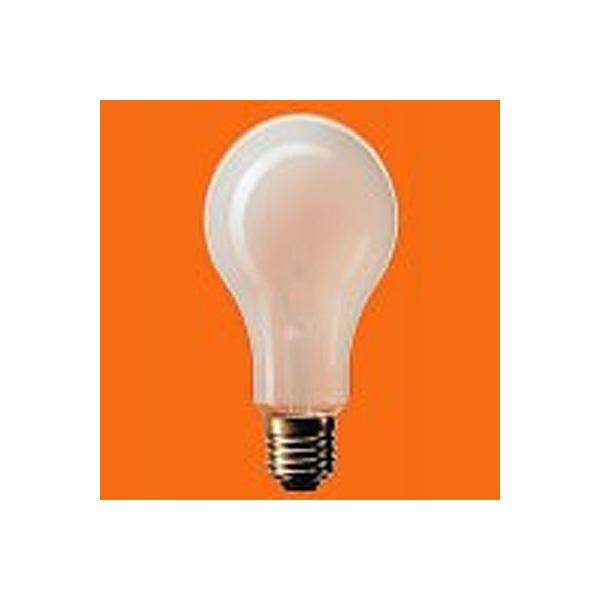 Panasonic（パナソニック） TS60 ts60 道路交通信号機専用電球 信号機