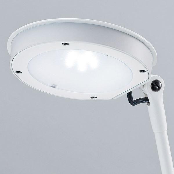 山田照明 Zライト LED デスクライト 白 Z-8N W 目に優しい コンセント