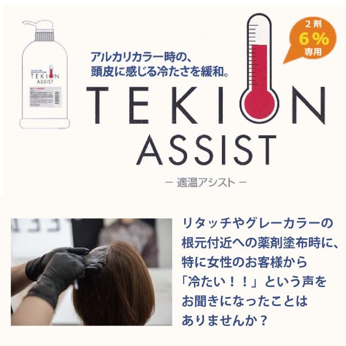 リックス 24本セット 緩和 600g 適温アシスト 冷たさ 業務用 緩和 送料無料 冷たさ Ric ｓ カラー剤 600g 解消 J 24s Esco Shop