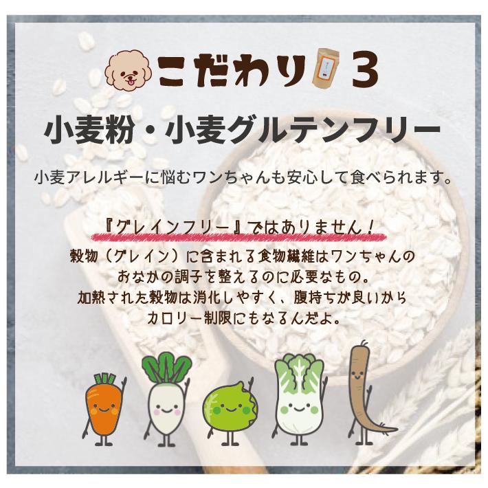 あむめし 国産プレミアムドッグフード 1kg 3個セット 成犬用 送料無料 ペット ドライフード 無添加 全犬種 全年齢対応 犬用 新発売 J 3s Esco Shop 通販 Yahoo ショッピング