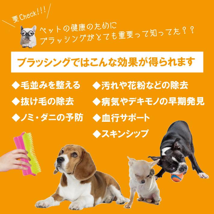 選べる2本セット ペットティーザー Pet Teezer ブラシ 犬 イヌ ダブルコート シングルコート 抜け毛 ブラッシング 送料無料 J 2s Esco Shop 通販 Yahoo ショッピング