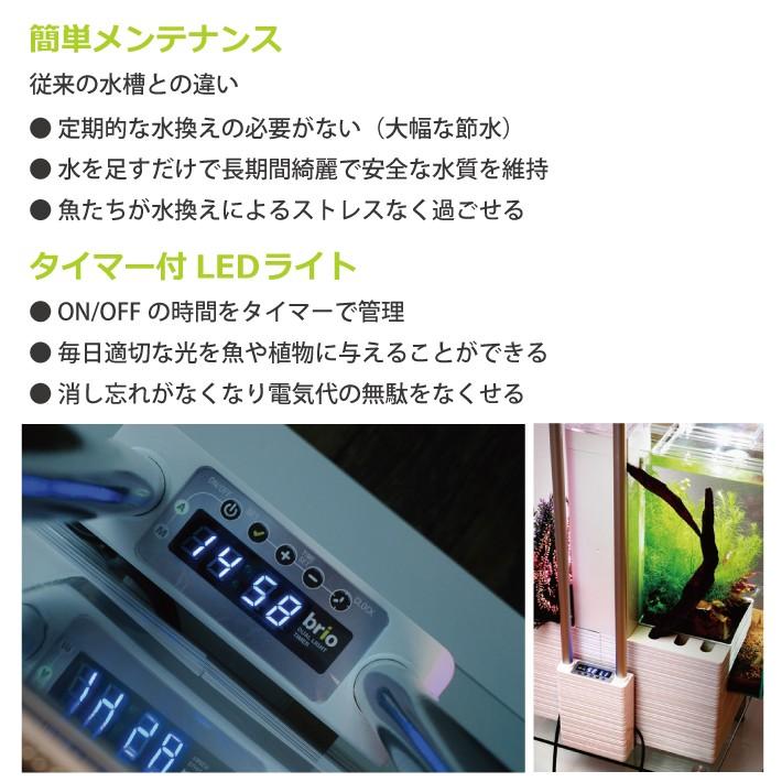 ベムパートナー Brio35 50hz 東日本用 ブラック ホワイト アクアリウム 水槽 大型 メーカー直送 代引不可 送料無料 J Esco Shop 通販 Yahoo ショッピング