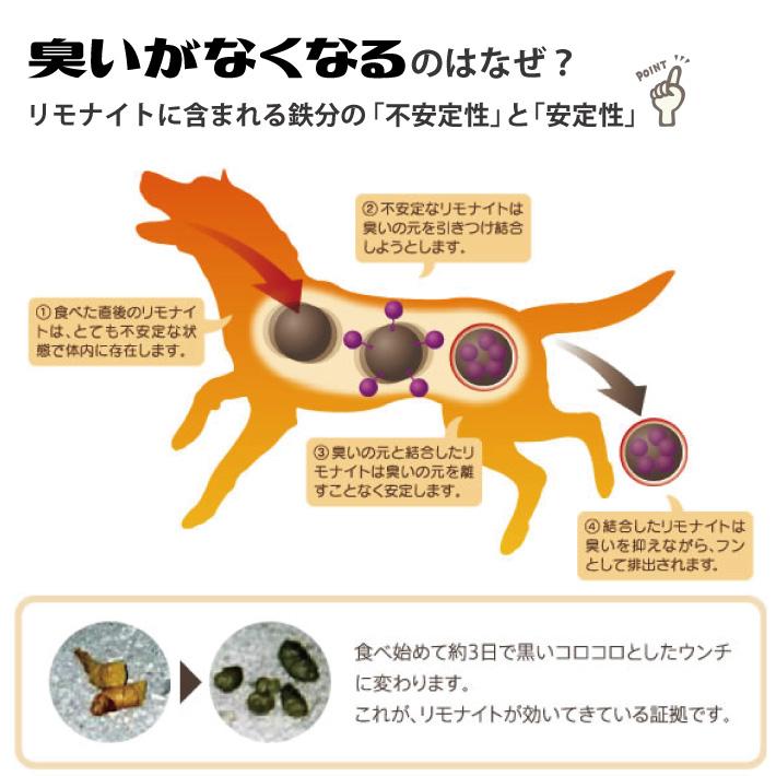 わんこのリモナイト 大粒ささみ 50g 犬のおやつ メール便送料無料｜escoshop｜05