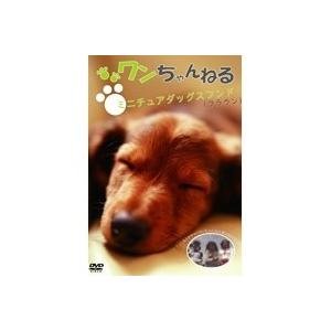 ワンちゃんねる ミニチュアダックスフンド(ブラウン) 【DVD】 | 