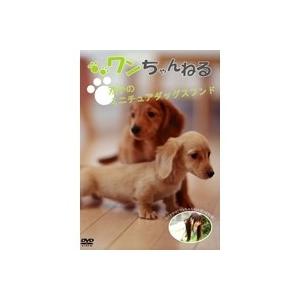 ワンちゃんねる 双子のミニチュアダックスフンド(クリーム) 【DVD】 | 