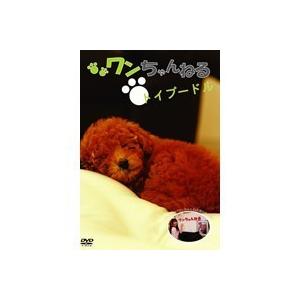 ワンちゃんねる トイプードル 【DVD】 | 