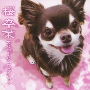 (オルゴール)／桜 卒業 オルゴール・コレクション 【CD】（Yahoo!・ハピネット・オンラインYahoo!ショッピング店）
