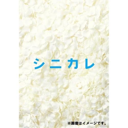 シニカレ完全版 DVD-BOX 【DVD】｜esdigital