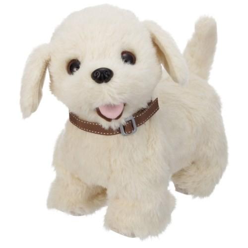 おいで おいで よってくる 部屋ともワンちゃんレトリバーおもちゃ こども 子供 女の子 人形遊び 3歳 ハピネットオンラインpaypayモール 通販 Paypayモール