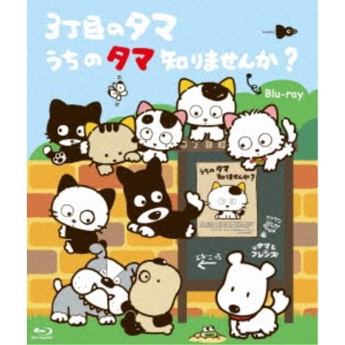 3丁目のタマ うちのタマ知りませんか? Blu-ray 3丁目のタマ うちのタマ知りませんか？ 【Blu-ray】 : ハピネット