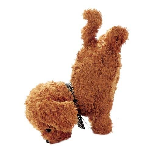 希少 ココさかだちして チョコレートおもちゃ こども 子供 女の子 人形遊び 6歳 格安即決 Www Aqtsolutions Com