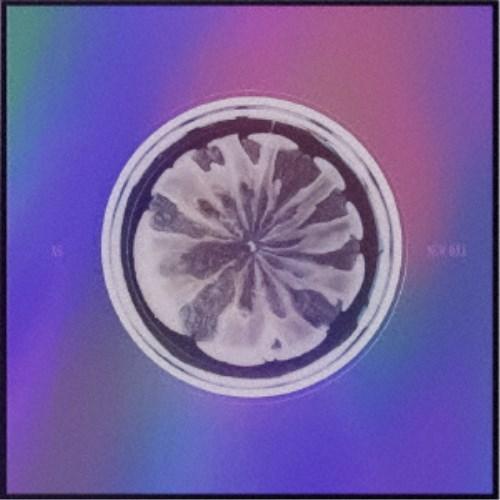 XG／NEW DNA《X ver.》 (初回限定) 【CD】 : ハピネット・オンライン