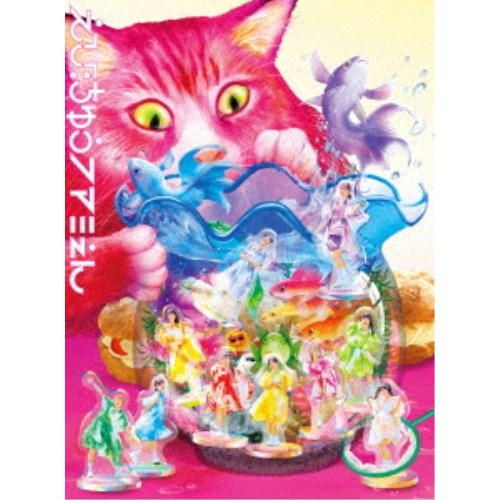 私立恵比寿中学／エビ中 夏のファミリー遠足 略してファミえん