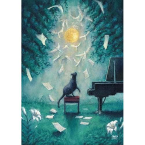 ヨルシカ／ヨルシカ LIVE「月と猫のダンス」《通常盤》 【DVD