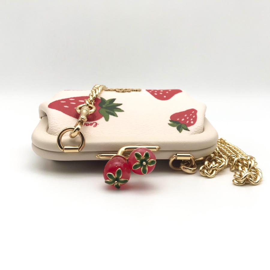 COACH コーチ ☆COACH☆ ノラ キスロック カードケース ワイルド COACH コーチ ☆COACH☆ ノラ キスロック カードケース ワイルド