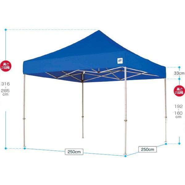 テント ワンタッチ タープテント 2.5m×2.5m EZ-UP DELUXE DX25 スチール製フレーム 名入れ料込 送料無料 頑丈プロ向け 簡単設置  日除け 日よけ｜esheetpro｜02