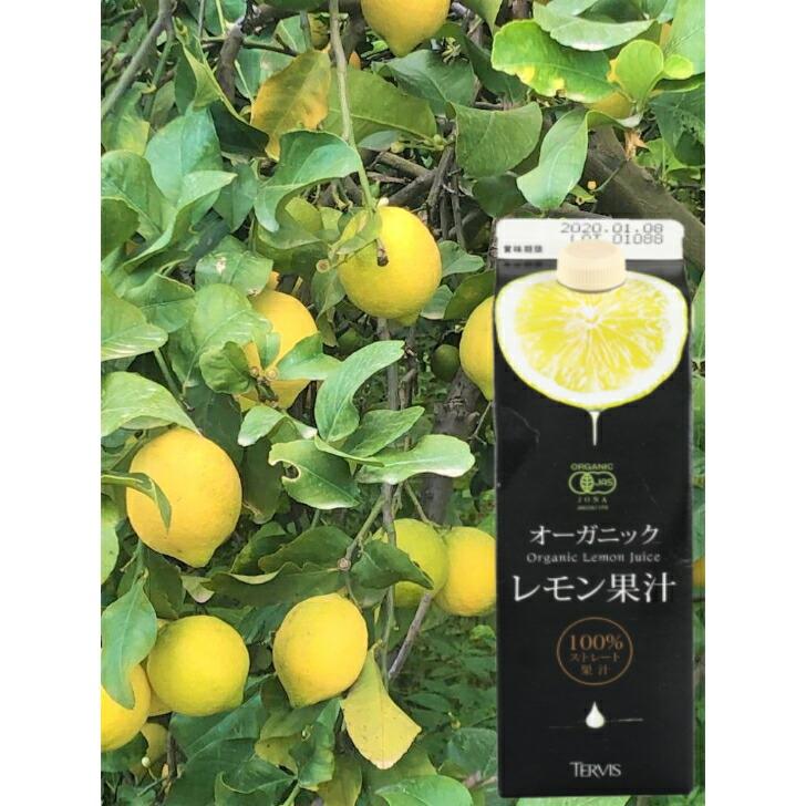 2本セット テルヴィス オーガニックレモン果汁 1000ml 有機レモン果汁