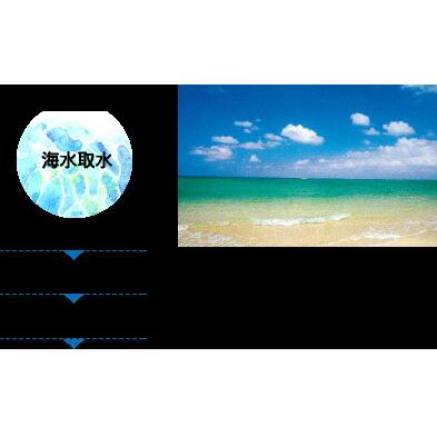 沖縄の海水塩 青い海 薪焚き仕込み 500g 美ら海 袋入｜esheland｜03