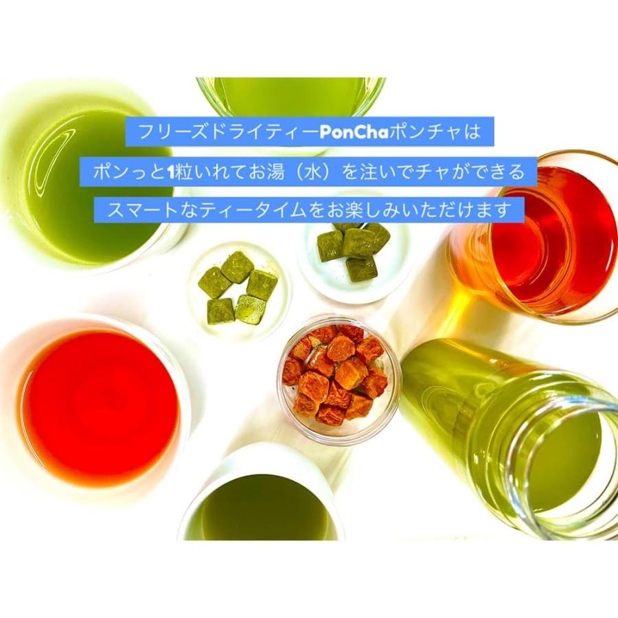 12個セット 菱和園 PonCha ポンチャ 3種 ( 抹茶 10g はちみつ紅茶 13g 珈琲 12g ) フリーズドライ インスタント キューブ ギフト 詰め合わせ アソート 母の日_9