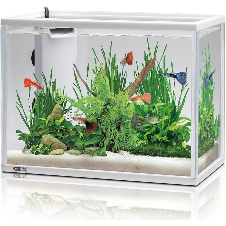 ジェックス サイレントフィット300 水槽セット 静音 省電力フィルター付 清水オンラインyahoo 店 通販 Yahoo ショッピング