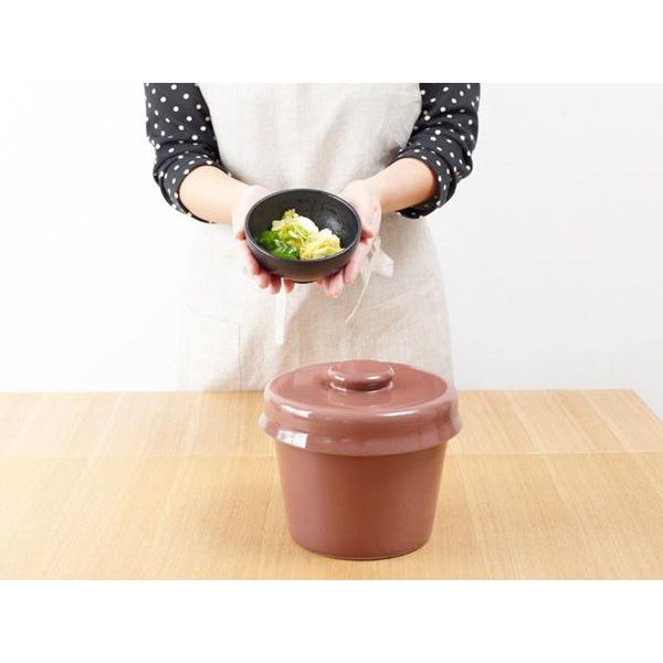 ✨漬け名人】(商標登録第4579022号) ☆陶器製 蓋付き菜漬器(さいしき