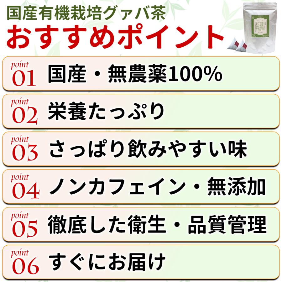 グァバ茶 3g×30包入り グアバ茶 国産 無農薬 有機 オーガニック ティーパック ガバ茶 河村農園｜eshop-next｜05