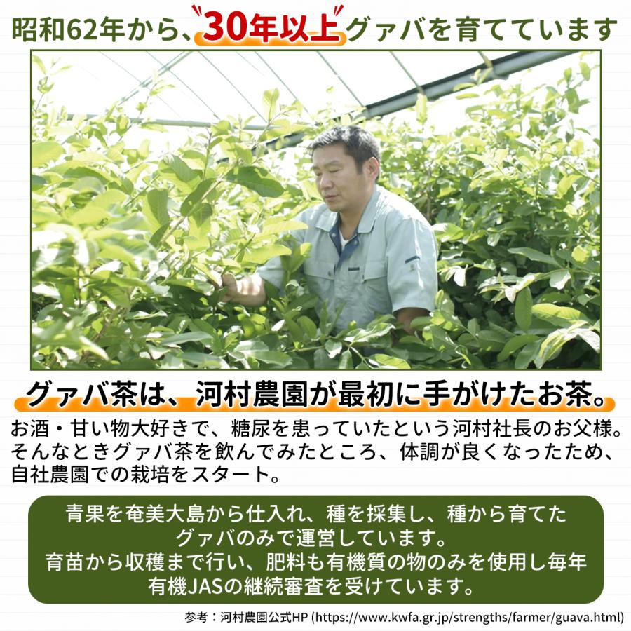 グァバ茶 3g×30包入り グアバ茶 国産 無農薬 有機 オーガニック ティーパック ガバ茶 河村農園｜eshop-next｜07