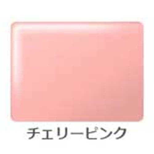 【ローラー用1kgセット】DIYでユニットバスリフォーム バスタブ用 希釈済みですぐ使用可 ユニットバス塗装用 |  | 23