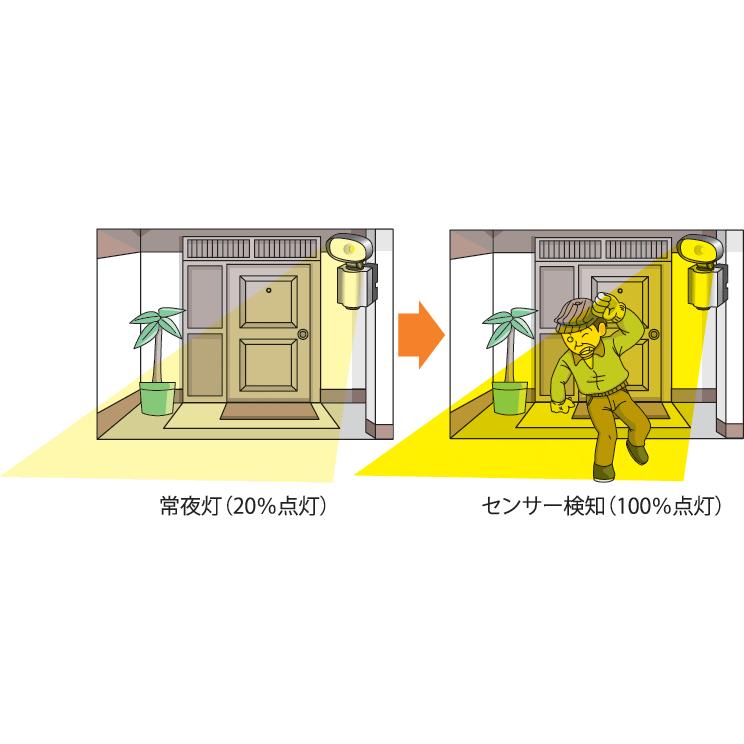 竹中応用科学 LED人感ともし火 LCL-52S TAKEX